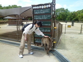 横尾さんカンガルー２P1020887.JPG